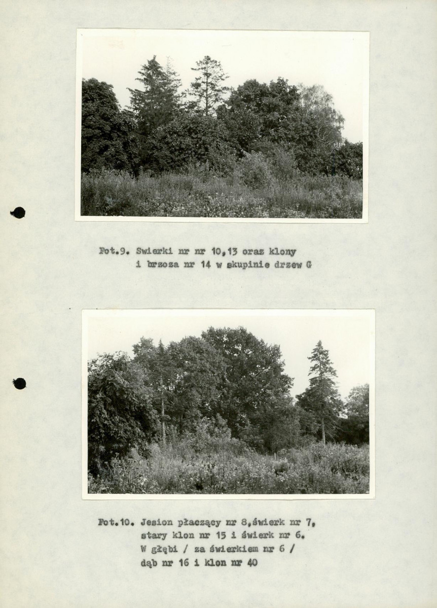 Ewidencja parkowa, skan nr 32