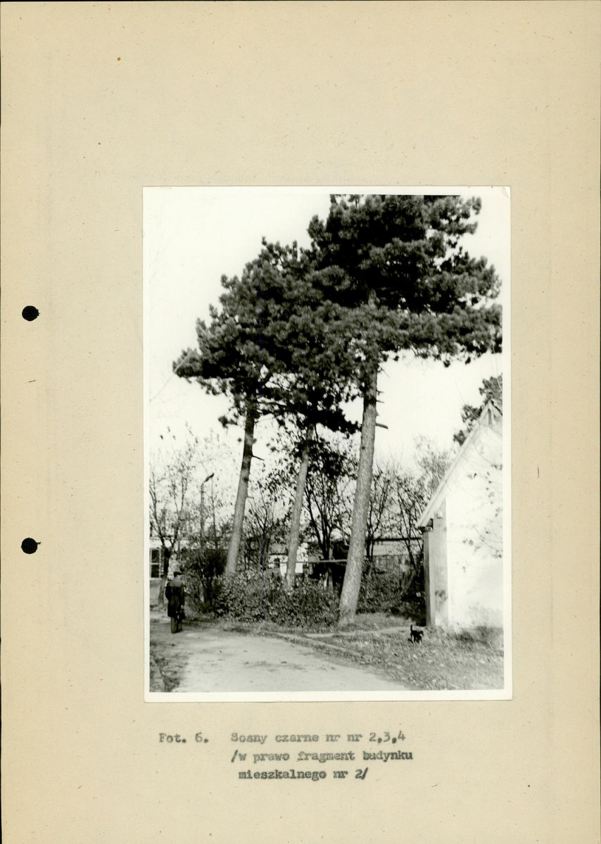 EP - Ewidencja parkowa, skan nr 37