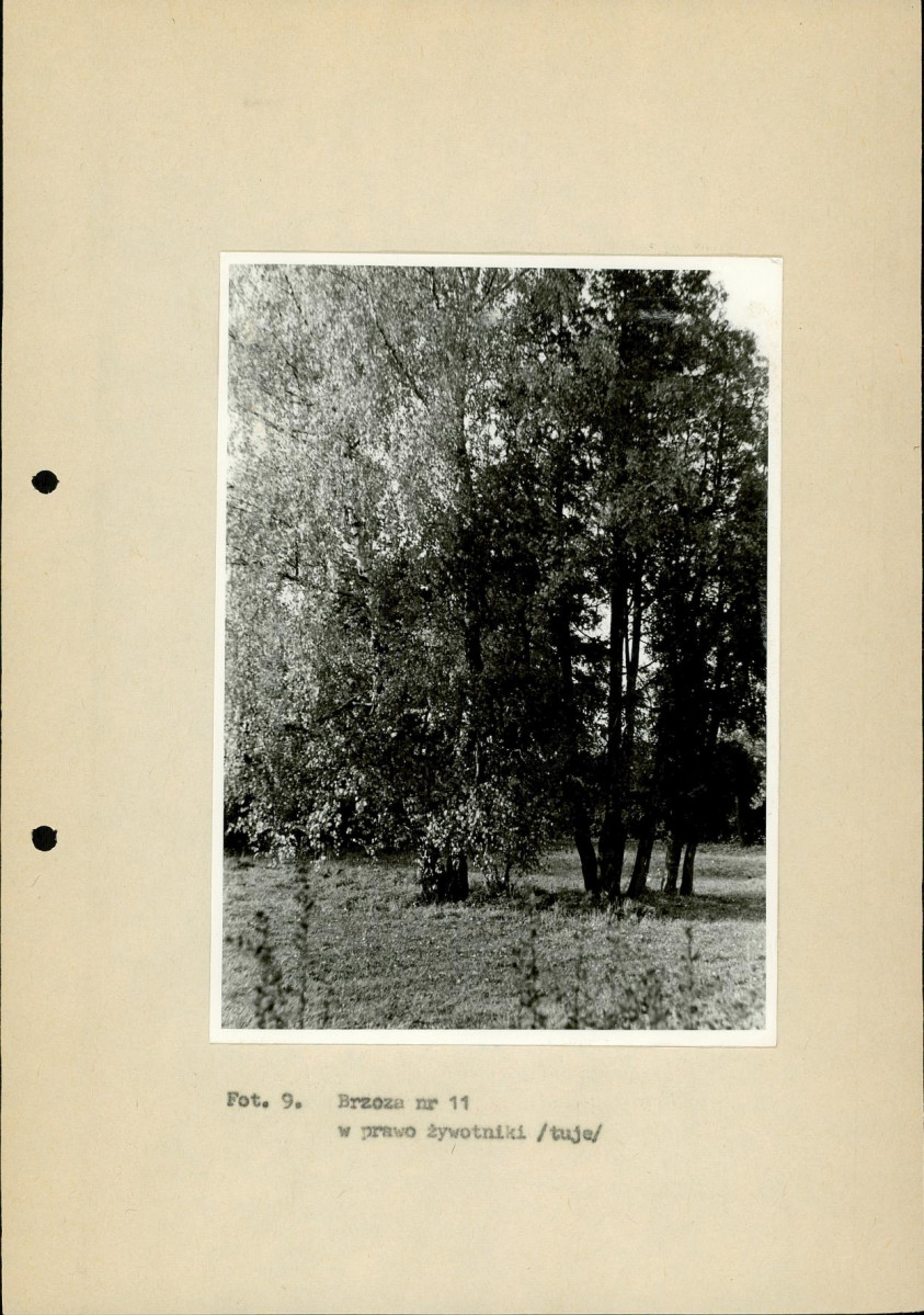 EP - Ewidencja parkowa, skan nr 40
