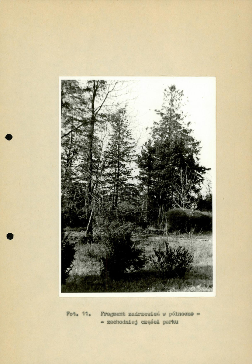 EP - Ewidencja parkowa, skan nr 42