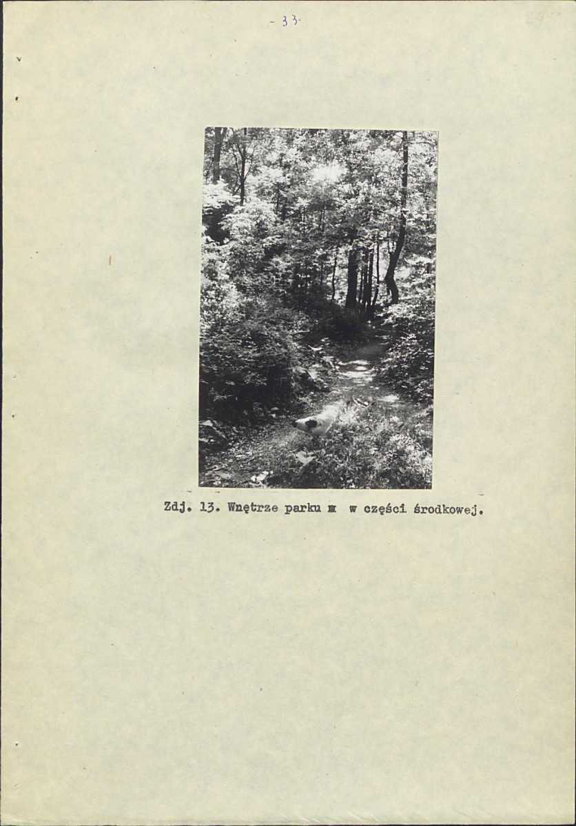Ewidencja parkowa, skan nr 36