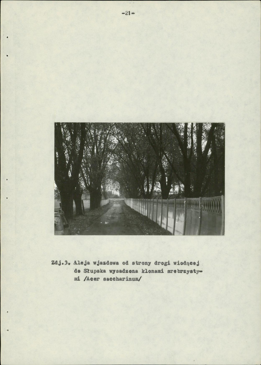 Ewidencja parkowa, skan nr 29