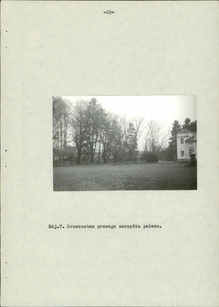 Ewidencja parkowa, skan nr 33