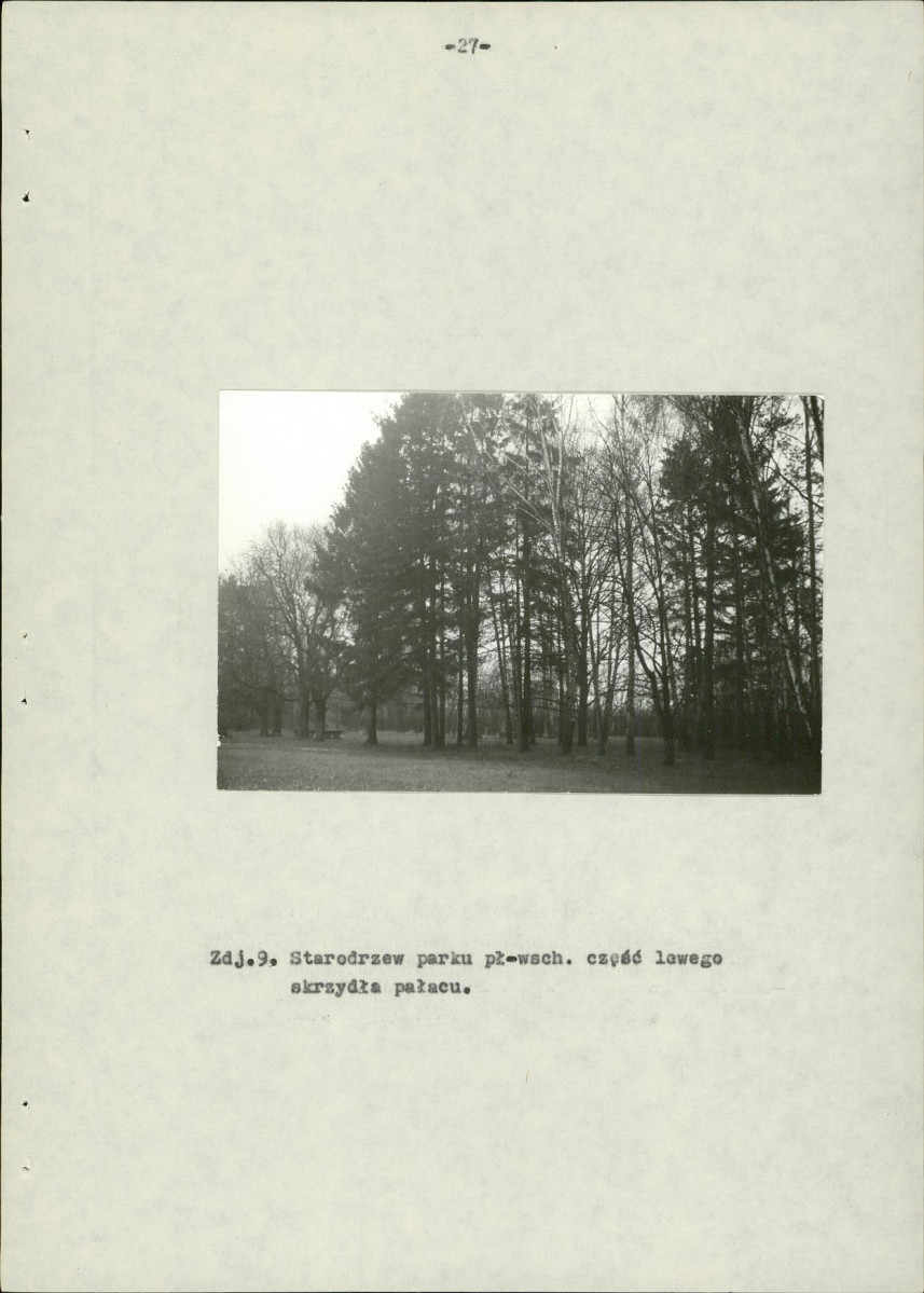 Ewidencja parkowa, skan nr 35
