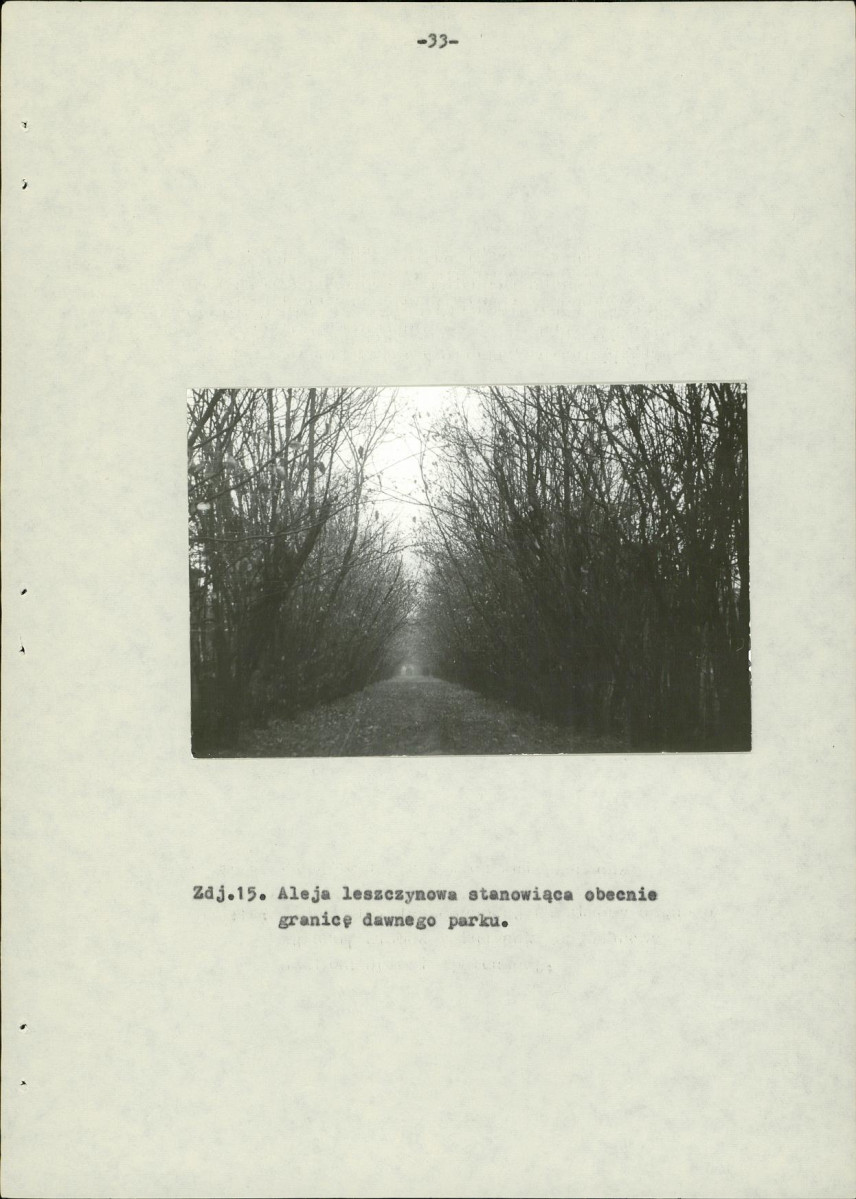 Ewidencja parkowa, skan nr 41
