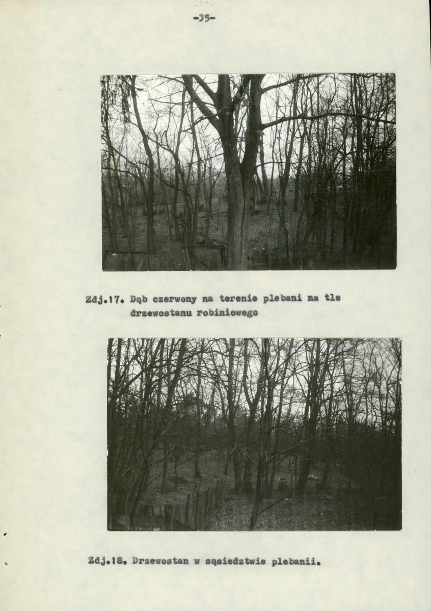 Ewidencja parkowa, skan nr 43