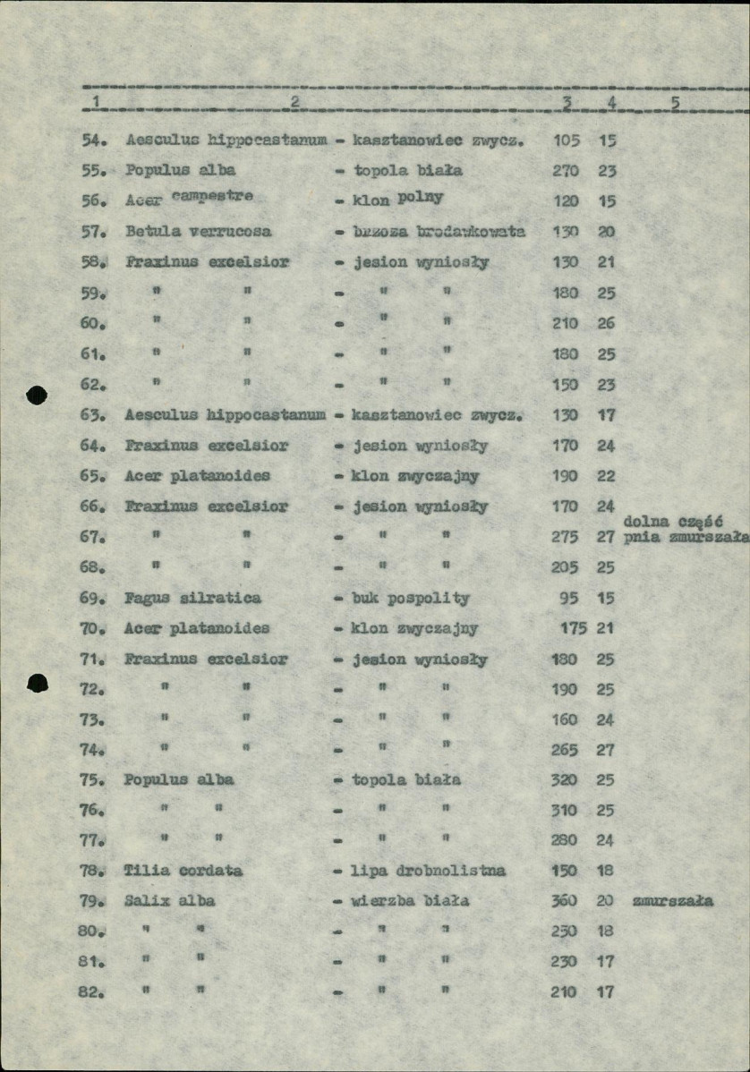 Ewidencja parkowa, skan nr 20
