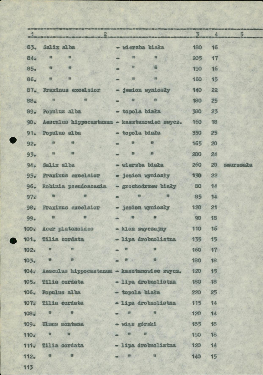 Ewidencja parkowa, skan nr 21