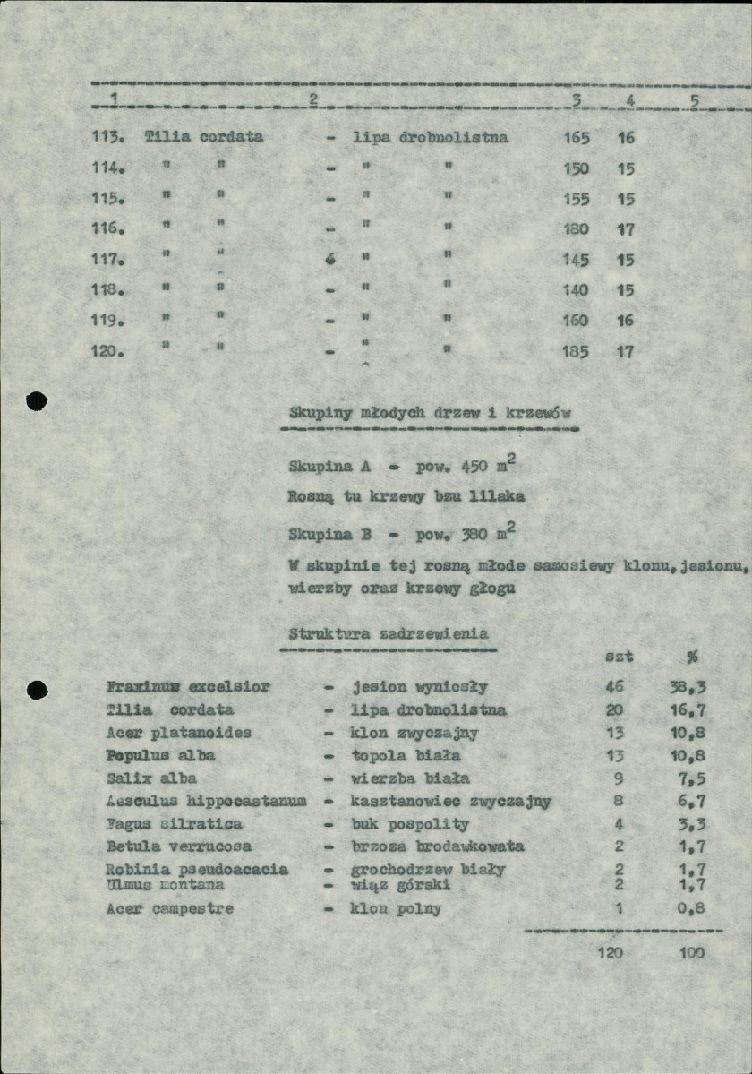 Ewidencja parkowa, skan nr 22