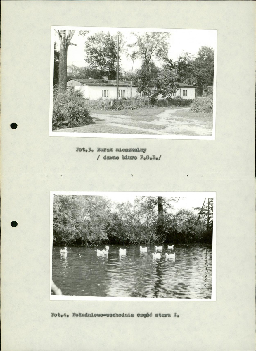 Ewidencja parkowa, skan nr 29
