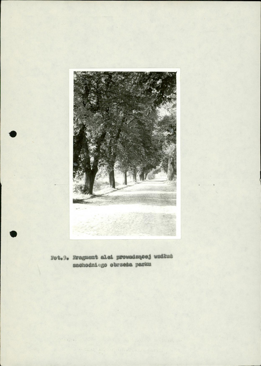 Ewidencja parkowa, skan nr 33