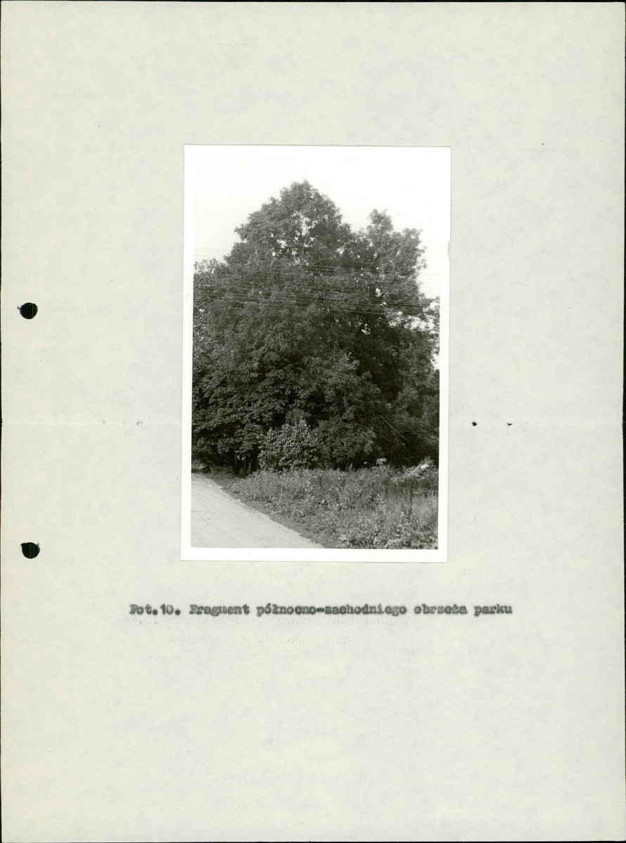 Ewidencja parkowa, skan nr 34