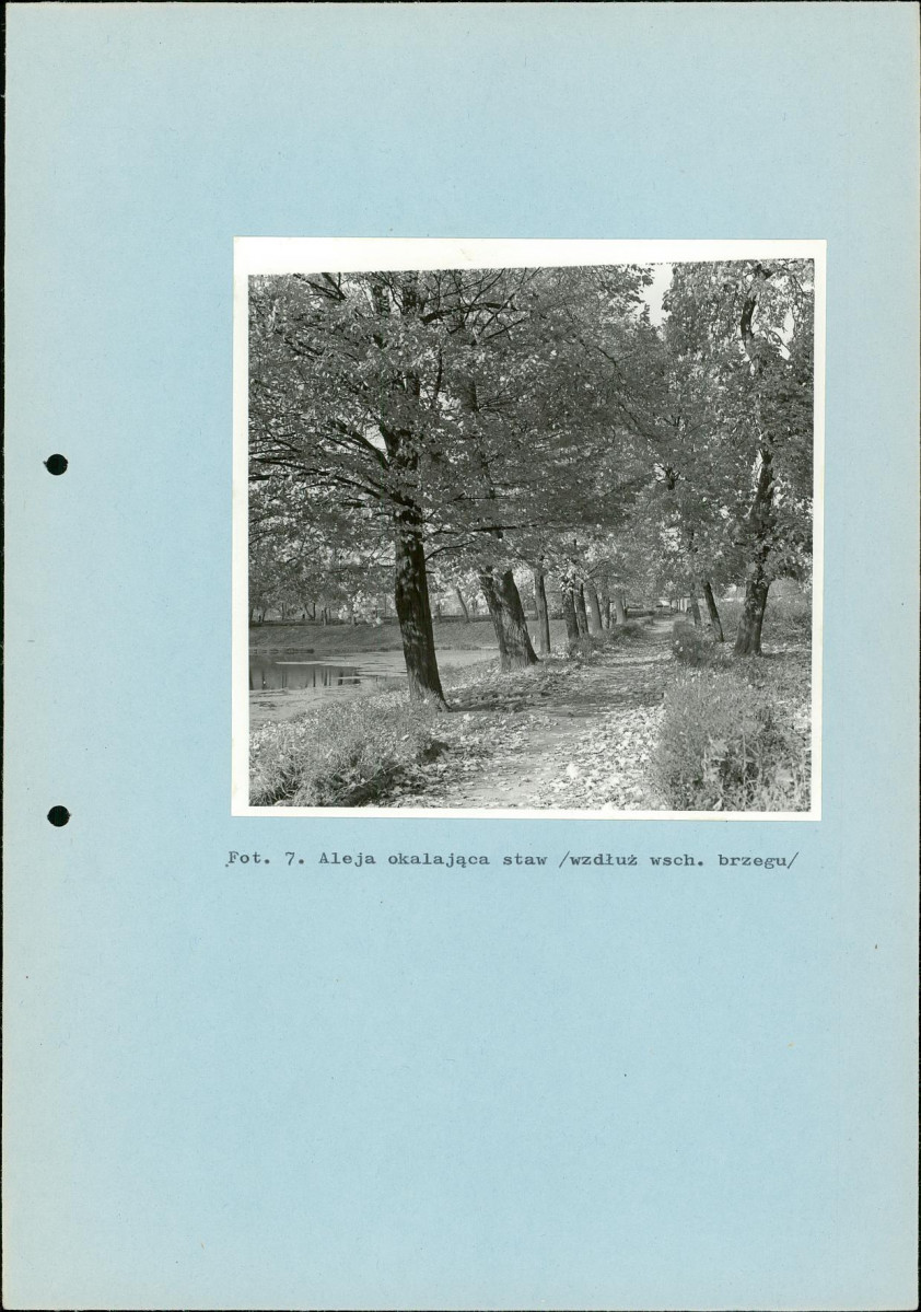 EP - Ewidencja parkowa, skan nr 29