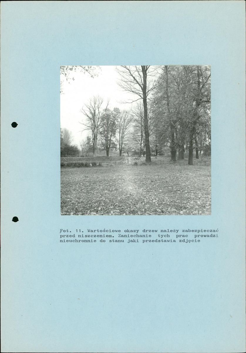 EP - Ewidencja parkowa, skan nr 33