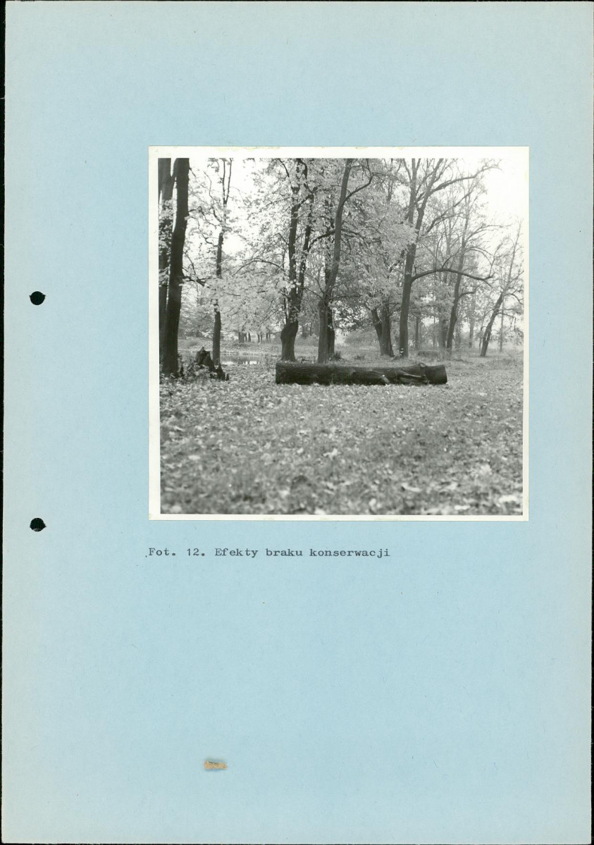 EP - Ewidencja parkowa, skan nr 34