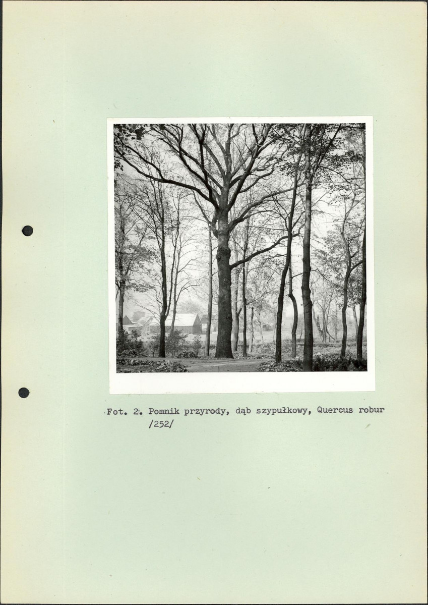 Ewidencja parkowa, skan nr 40