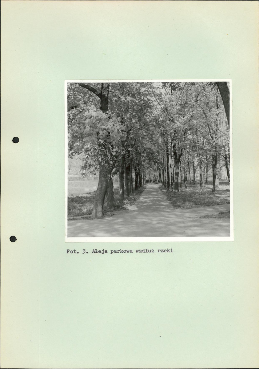 Ewidencja parkowa, skan nr 41