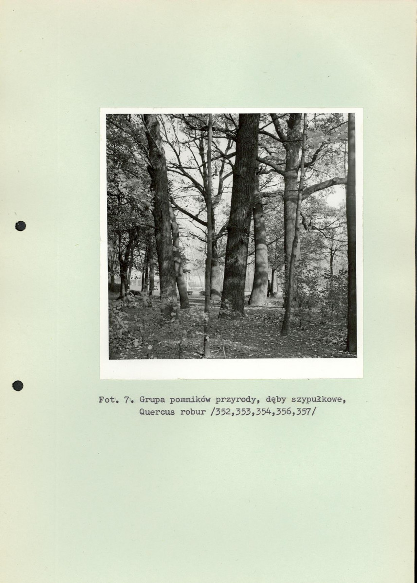 Ewidencja parkowa, skan nr 45