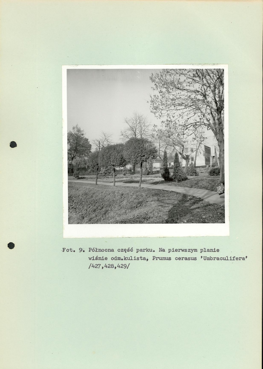 Ewidencja parkowa, skan nr 47