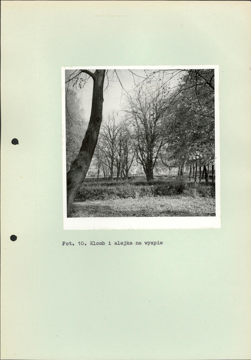 Ewidencja parkowa, skan nr 48