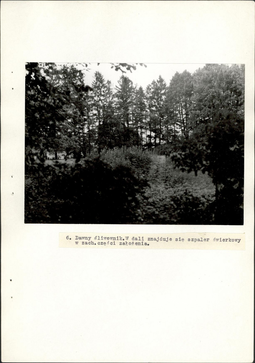 EP - Ewidencja parkowa, skan nr 28
