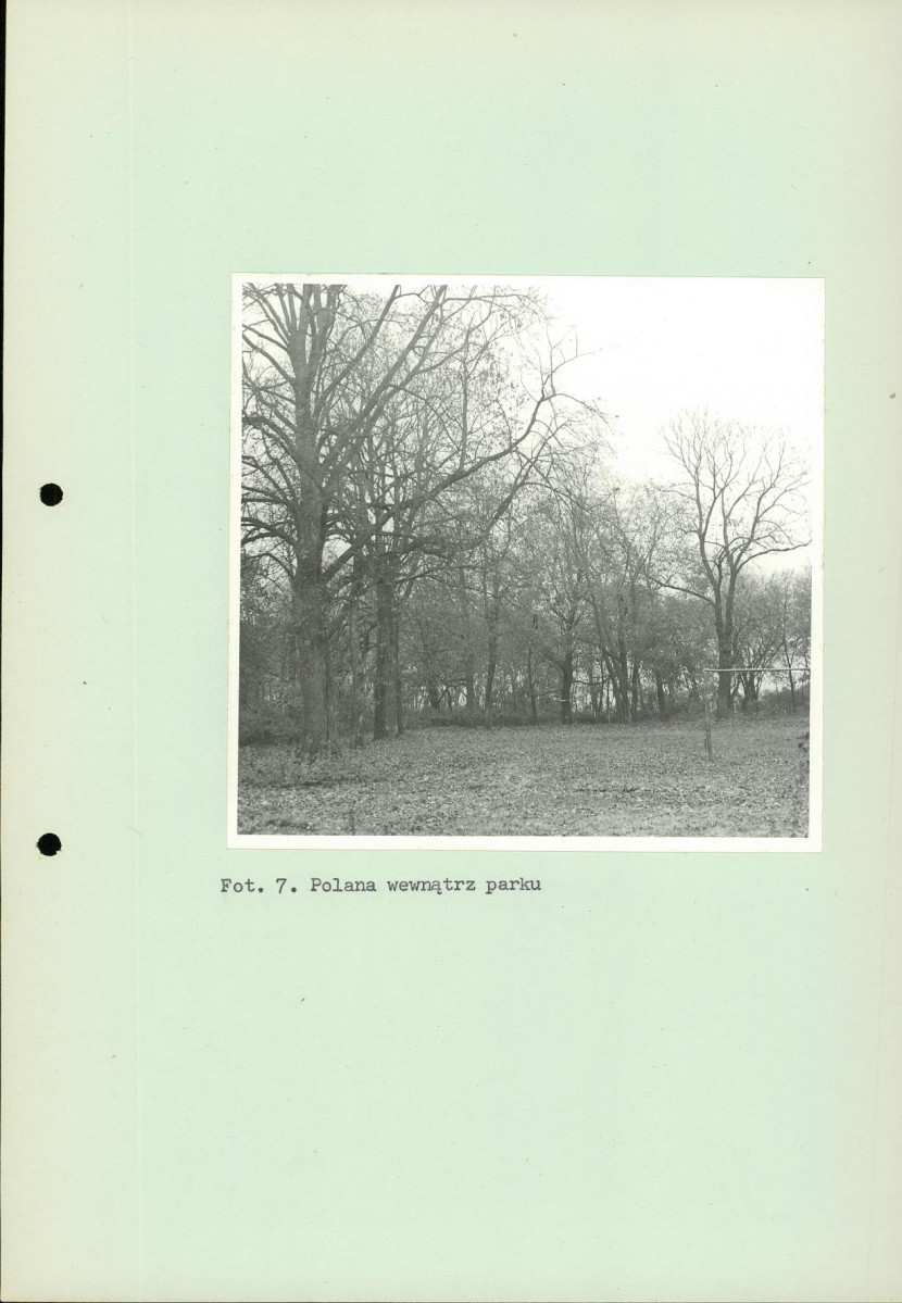 Ewidencja parkowa, skan nr 32