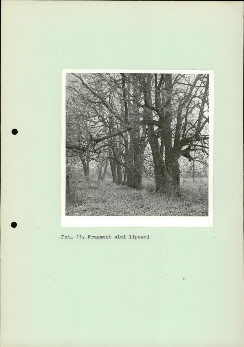 Ewidencja parkowa, skan nr 36