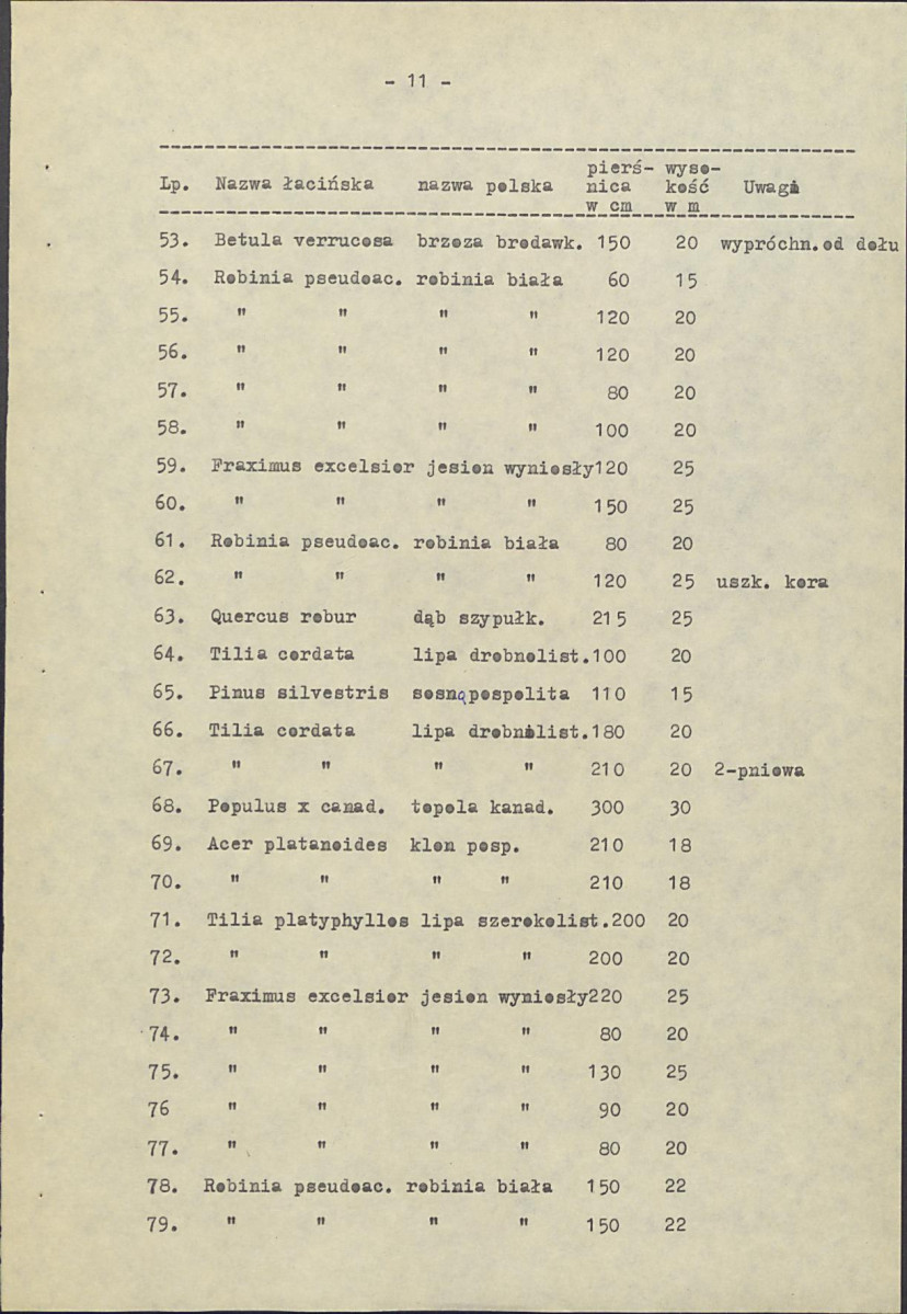Ewidencja parkowa, skan nr 16
