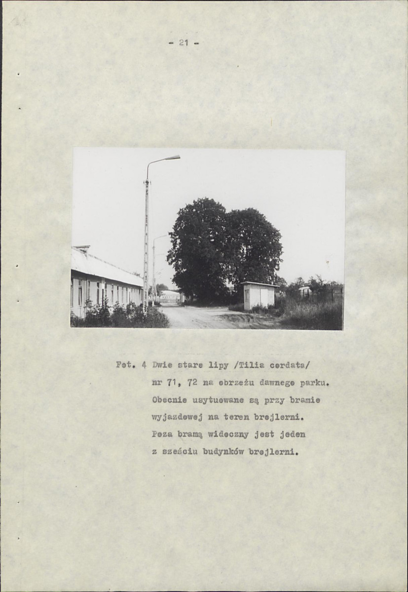 Ewidencja parkowa, skan nr 26