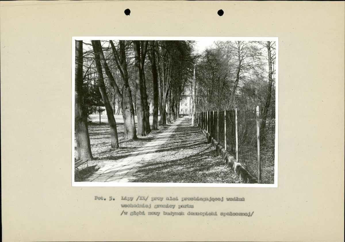 Ewidencja parkowa, skan nr 38