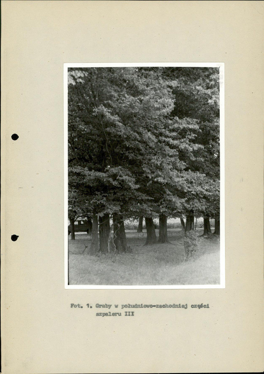 Ewidencja parkowa, skan nr 29