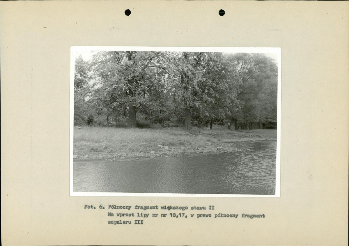 Ewidencja parkowa, skan nr 34