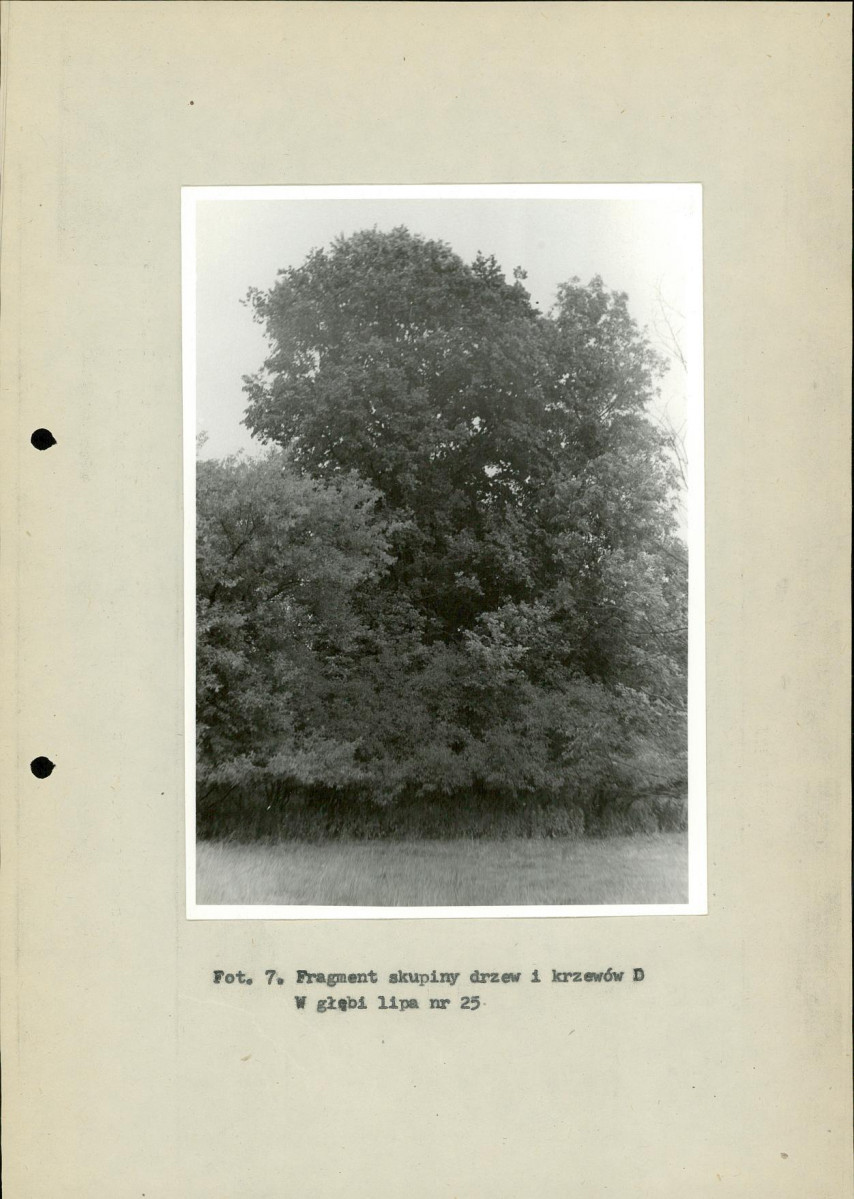 Ewidencja parkowa, skan nr 35