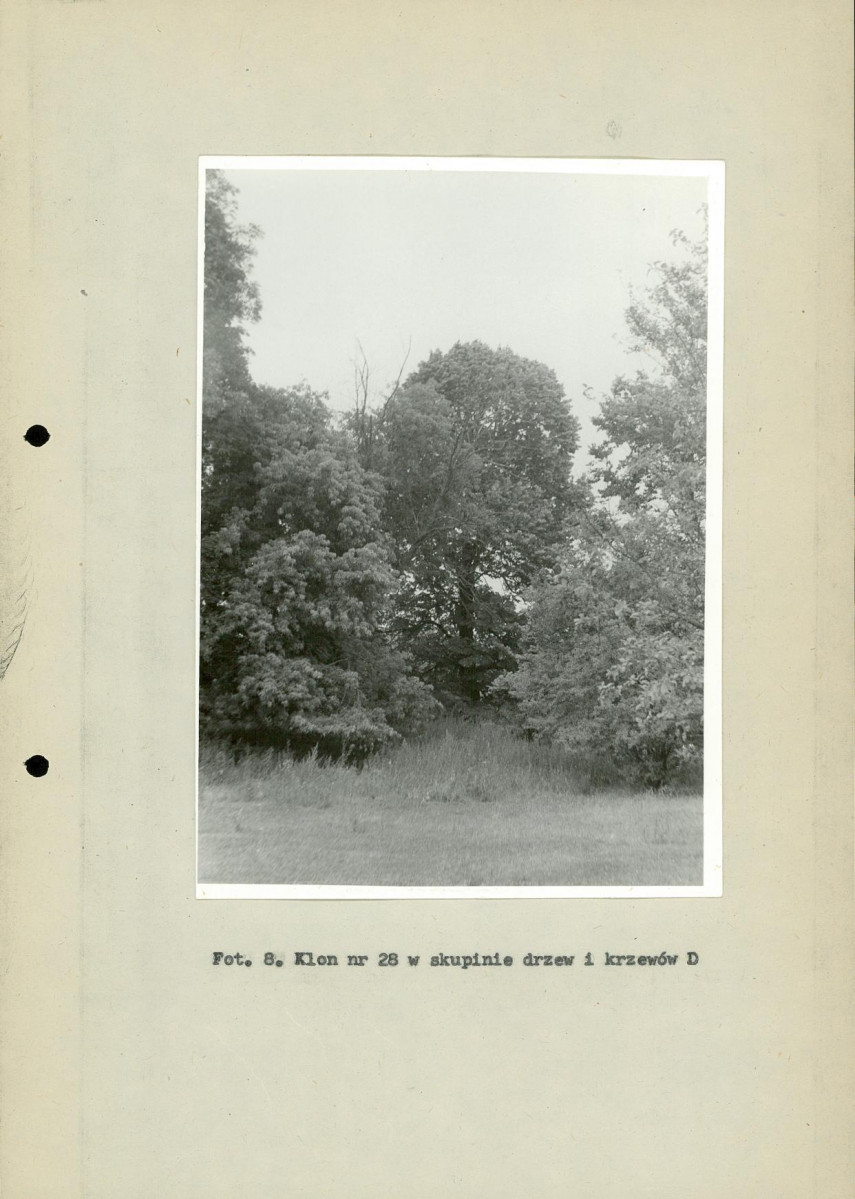 Ewidencja parkowa, skan nr 36