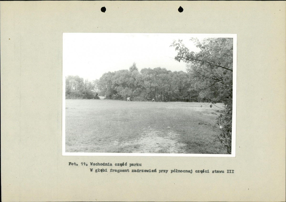 Ewidencja parkowa, skan nr 39