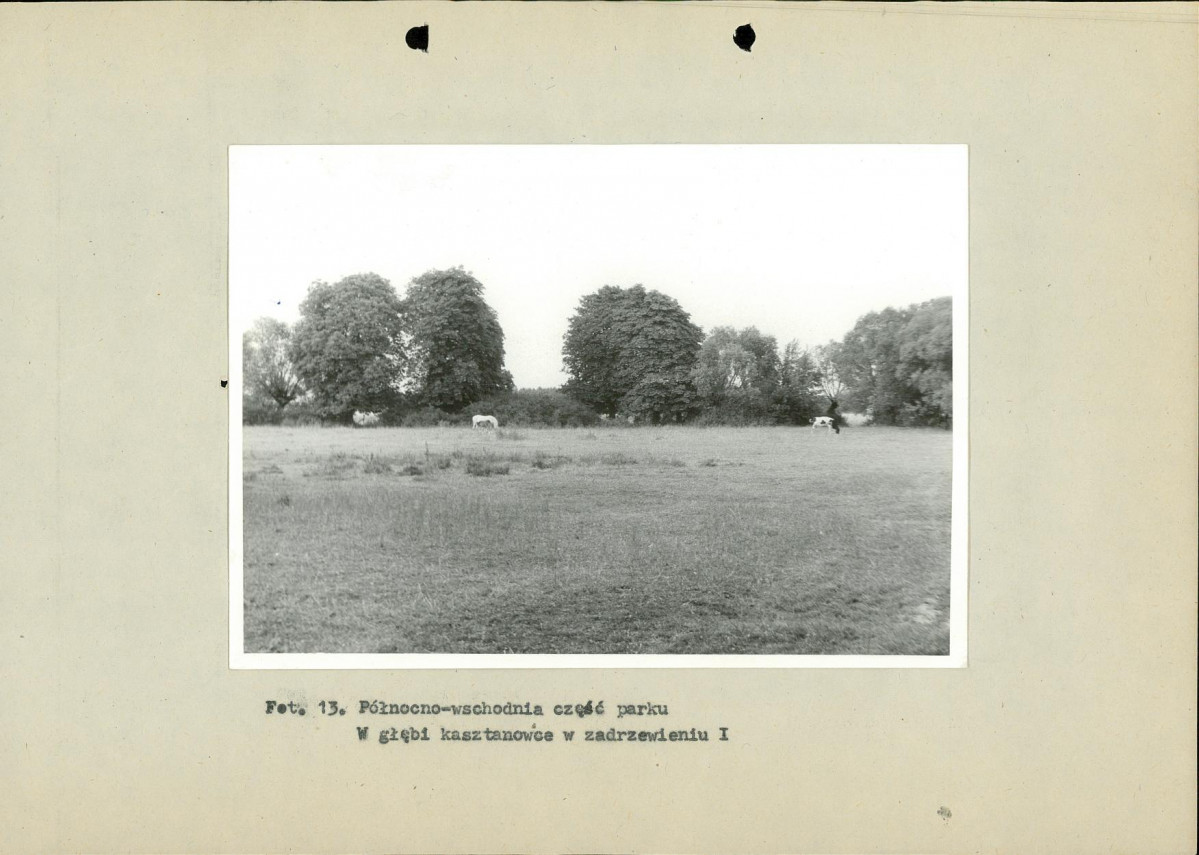 Ewidencja parkowa, skan nr 41