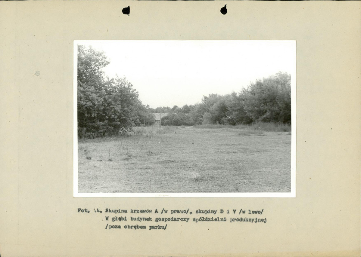 Ewidencja parkowa, skan nr 42