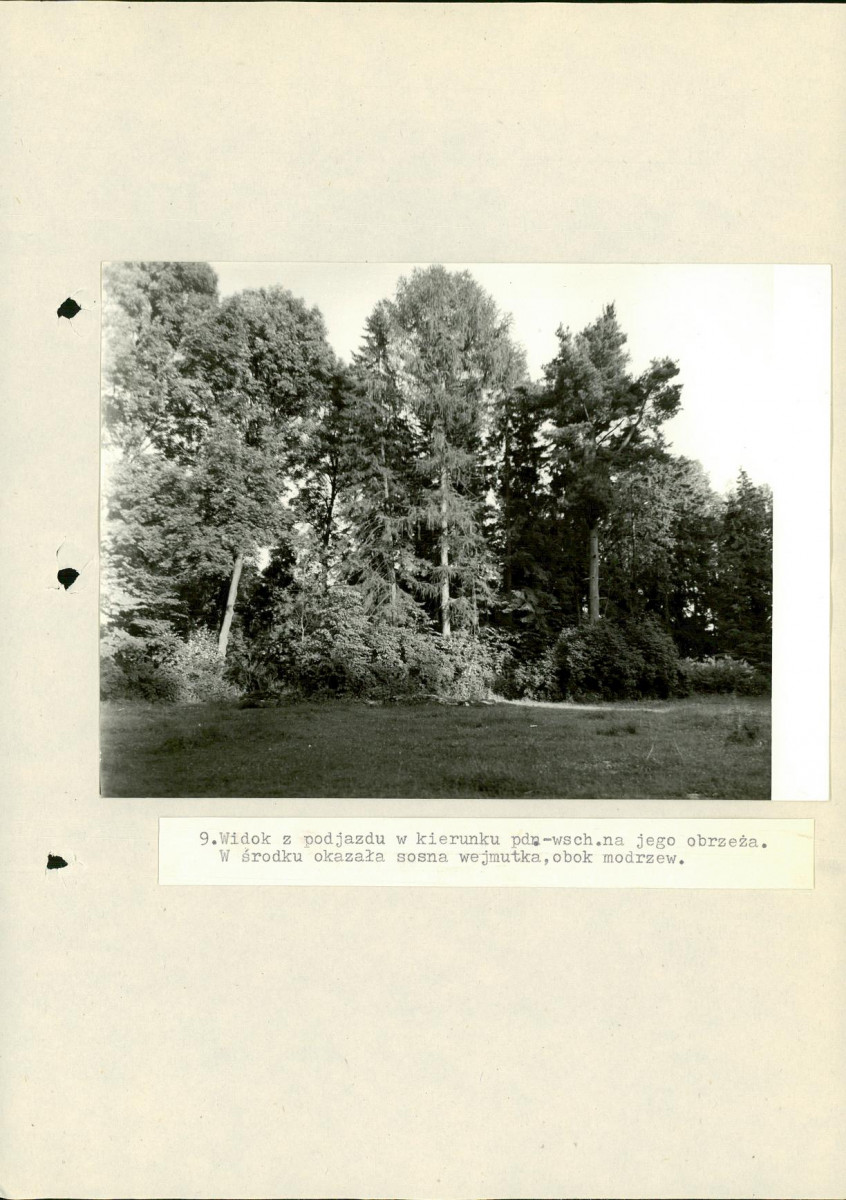 Ewidencja parkowa, skan nr 47