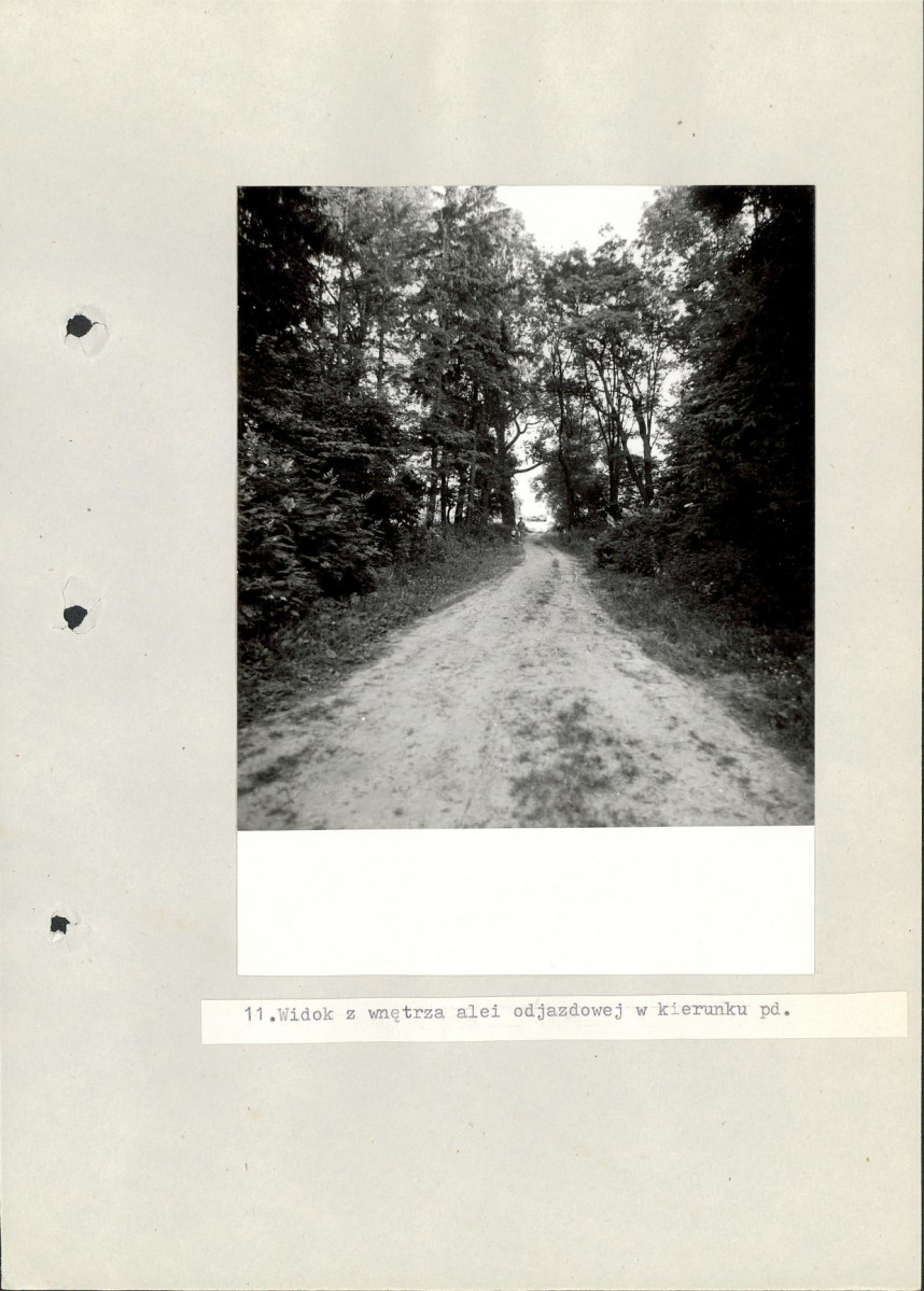 Ewidencja parkowa, skan nr 49