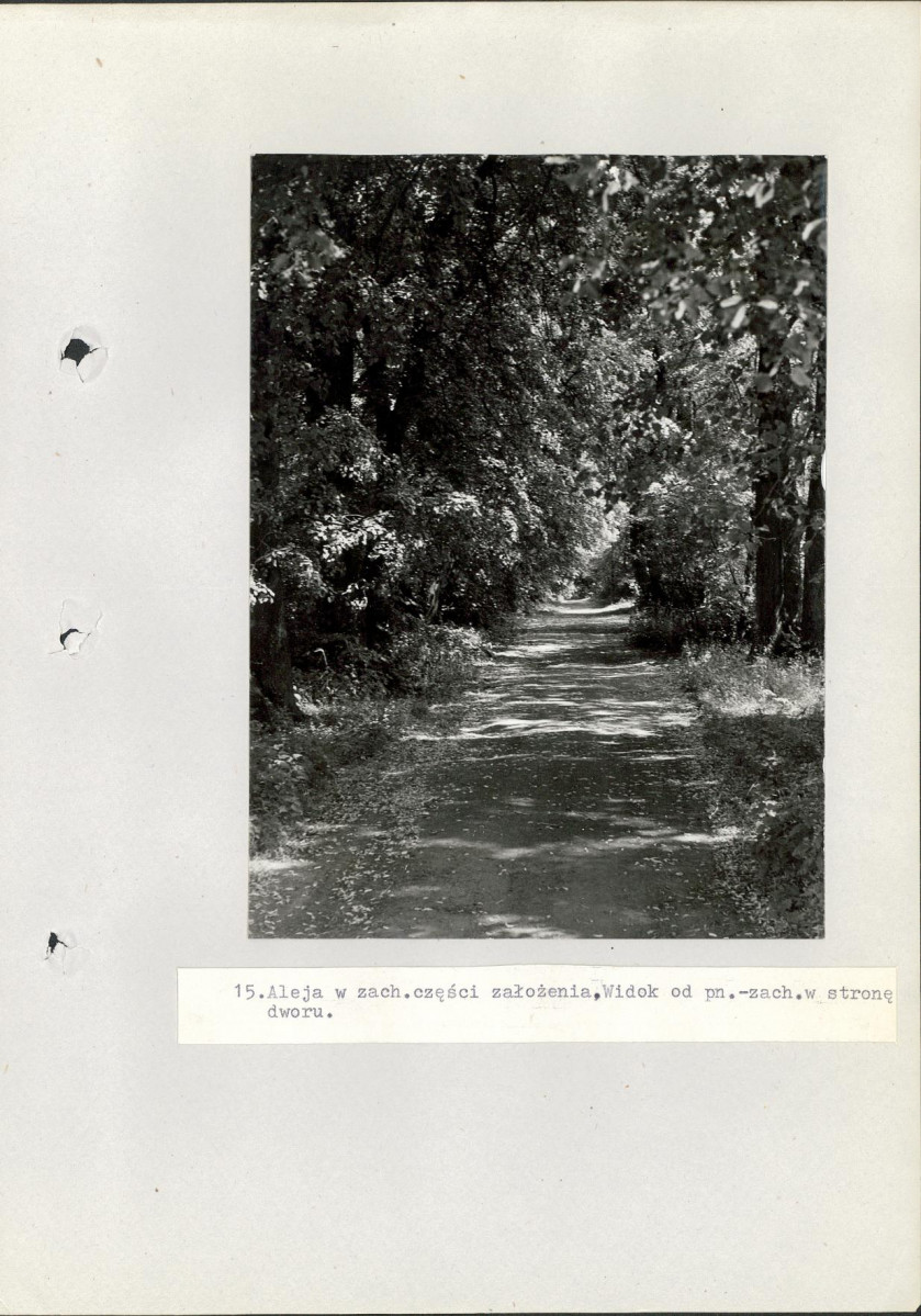 Ewidencja parkowa, skan nr 53