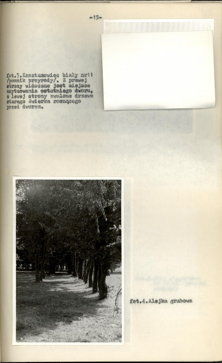 Ewidencja parkowa, skan nr 21