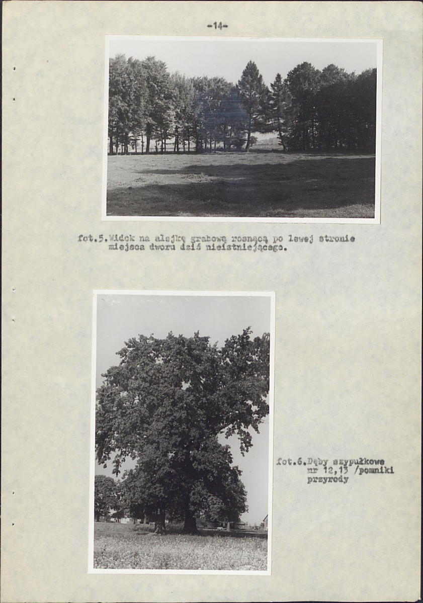 Ewidencja parkowa, skan nr 22
