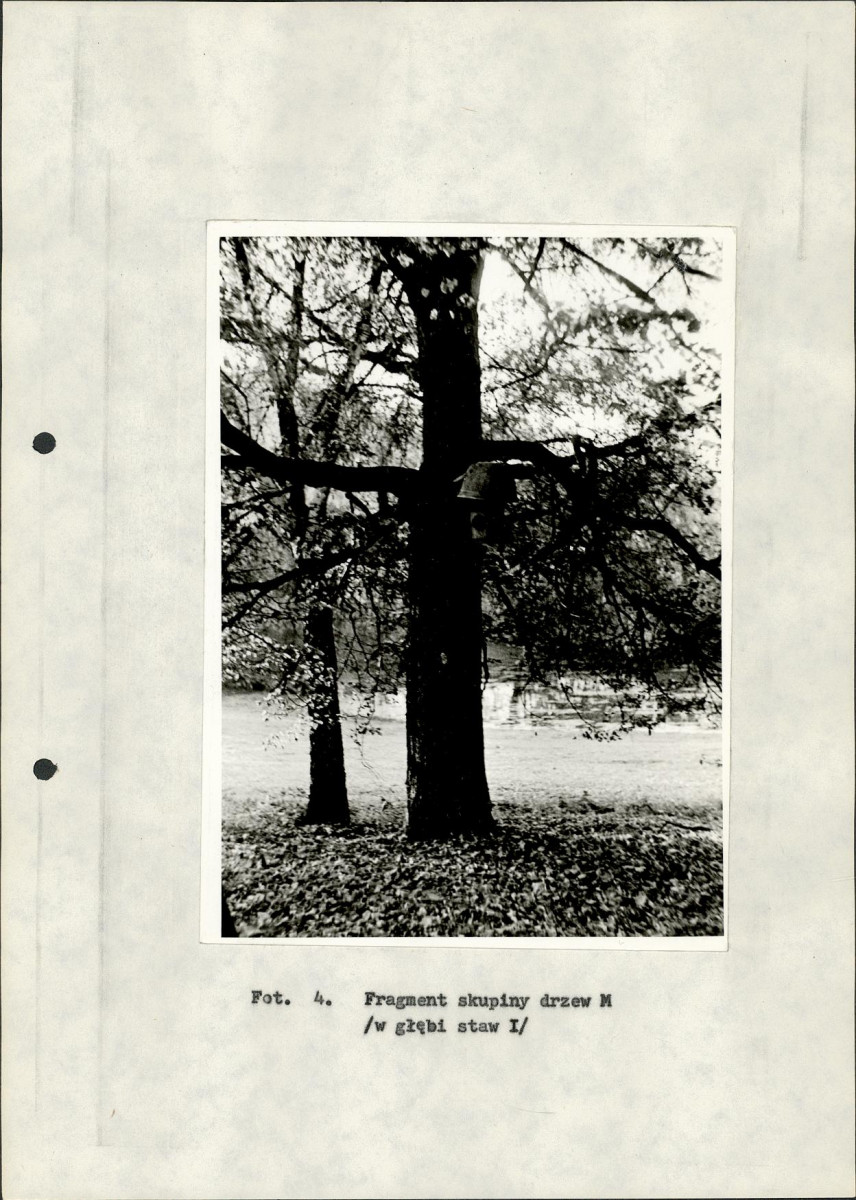 Ewidencja parkowa, skan nr 34