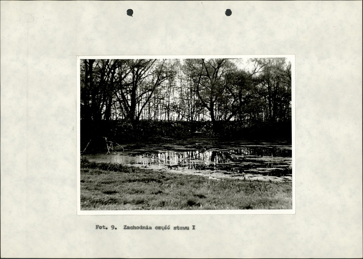 Ewidencja parkowa, skan nr 39