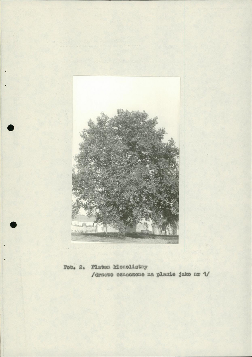 EP - Ewidencja parkowa, skan nr 27