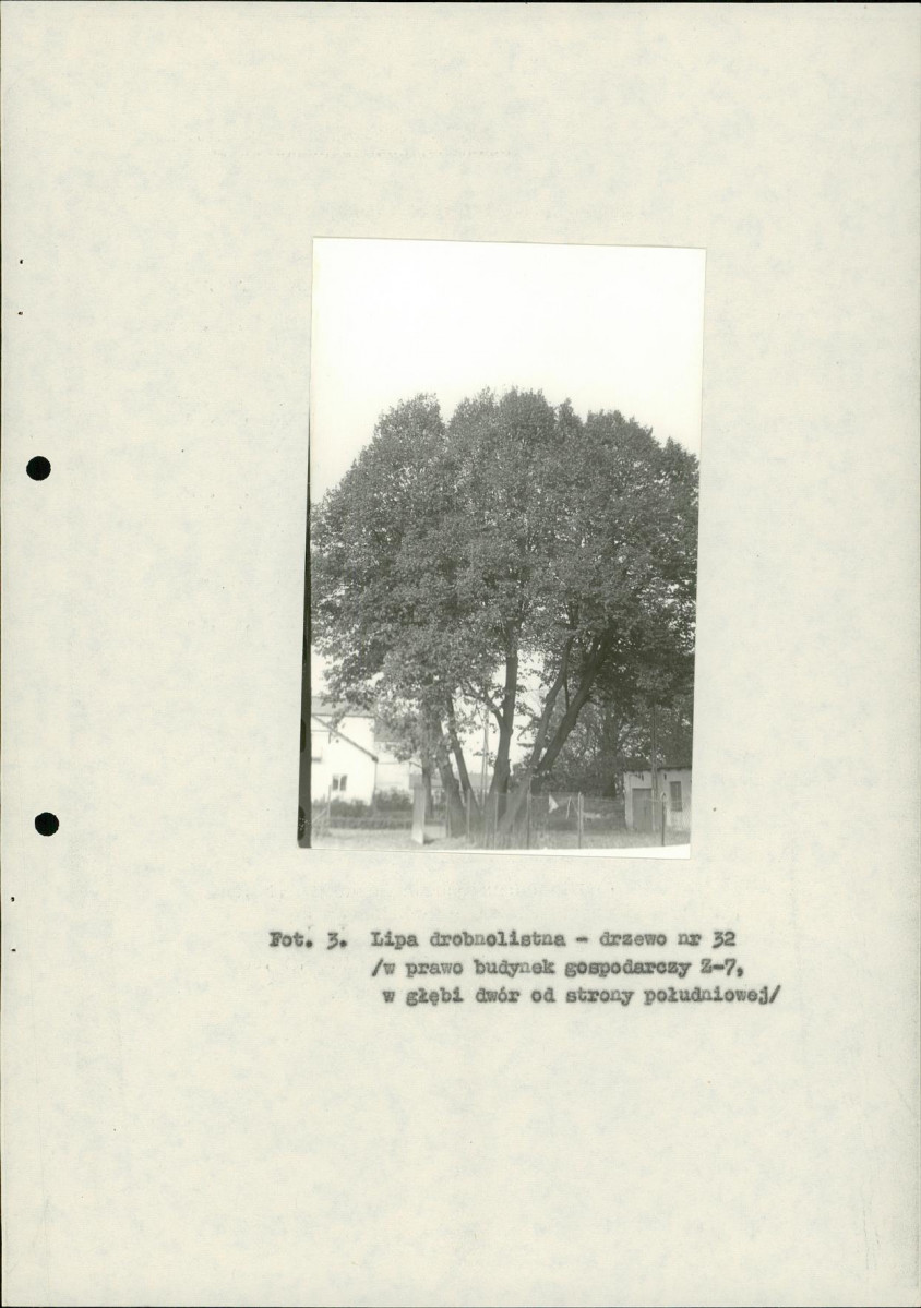EP - Ewidencja parkowa, skan nr 28