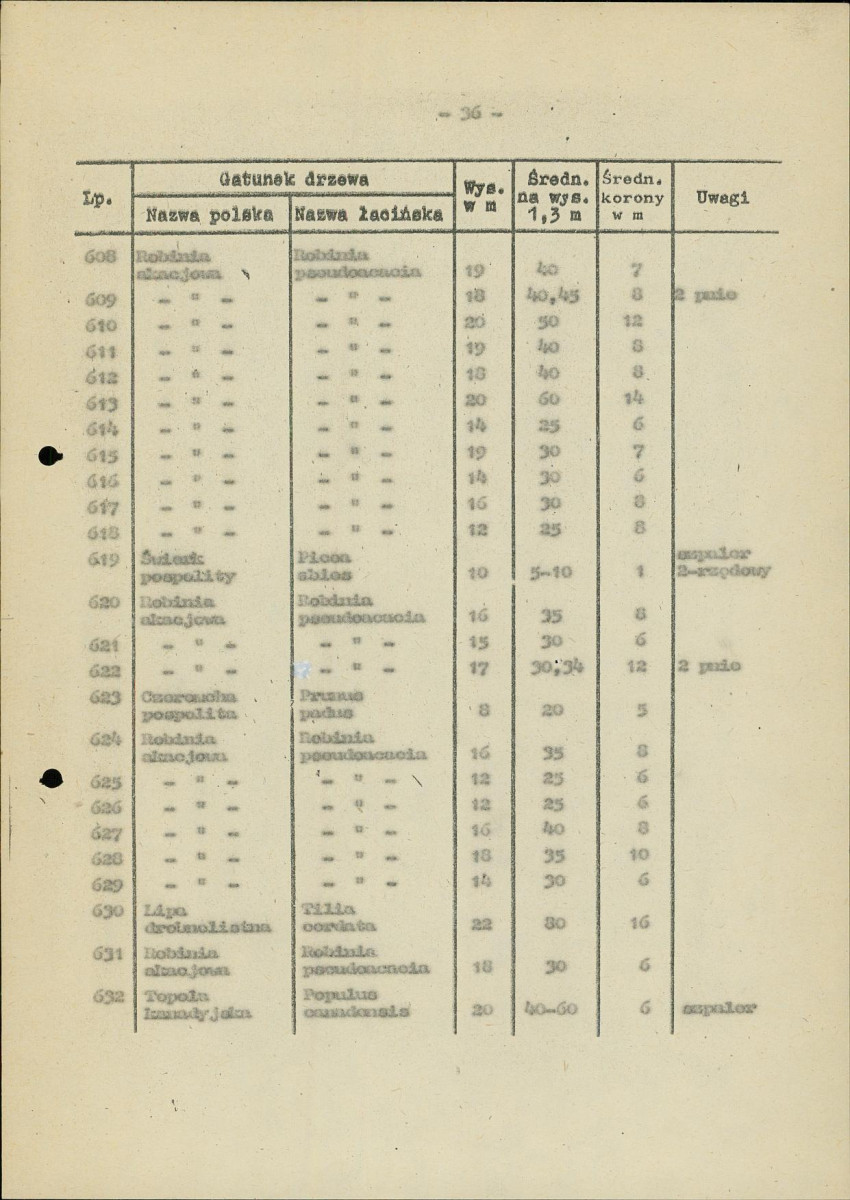 Ewidencja parkowa, skan nr 40