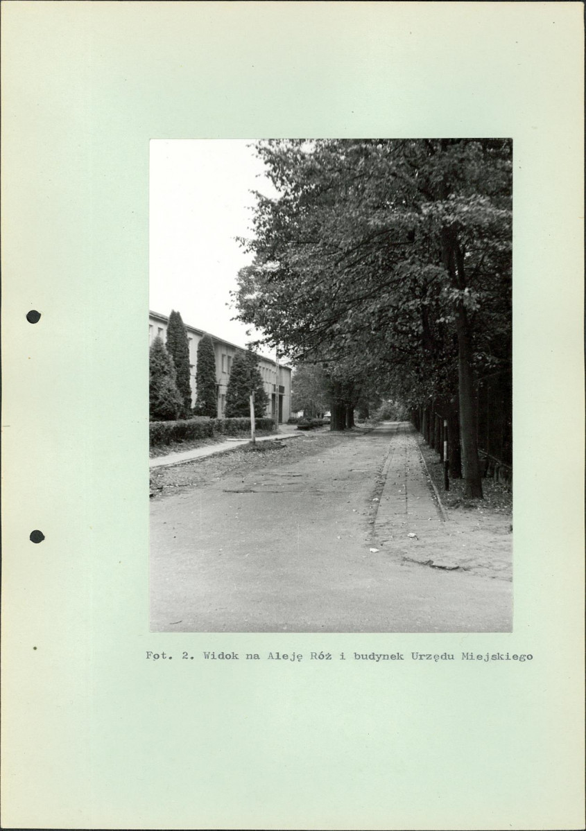 Ewidencja parkowa, skan nr 48