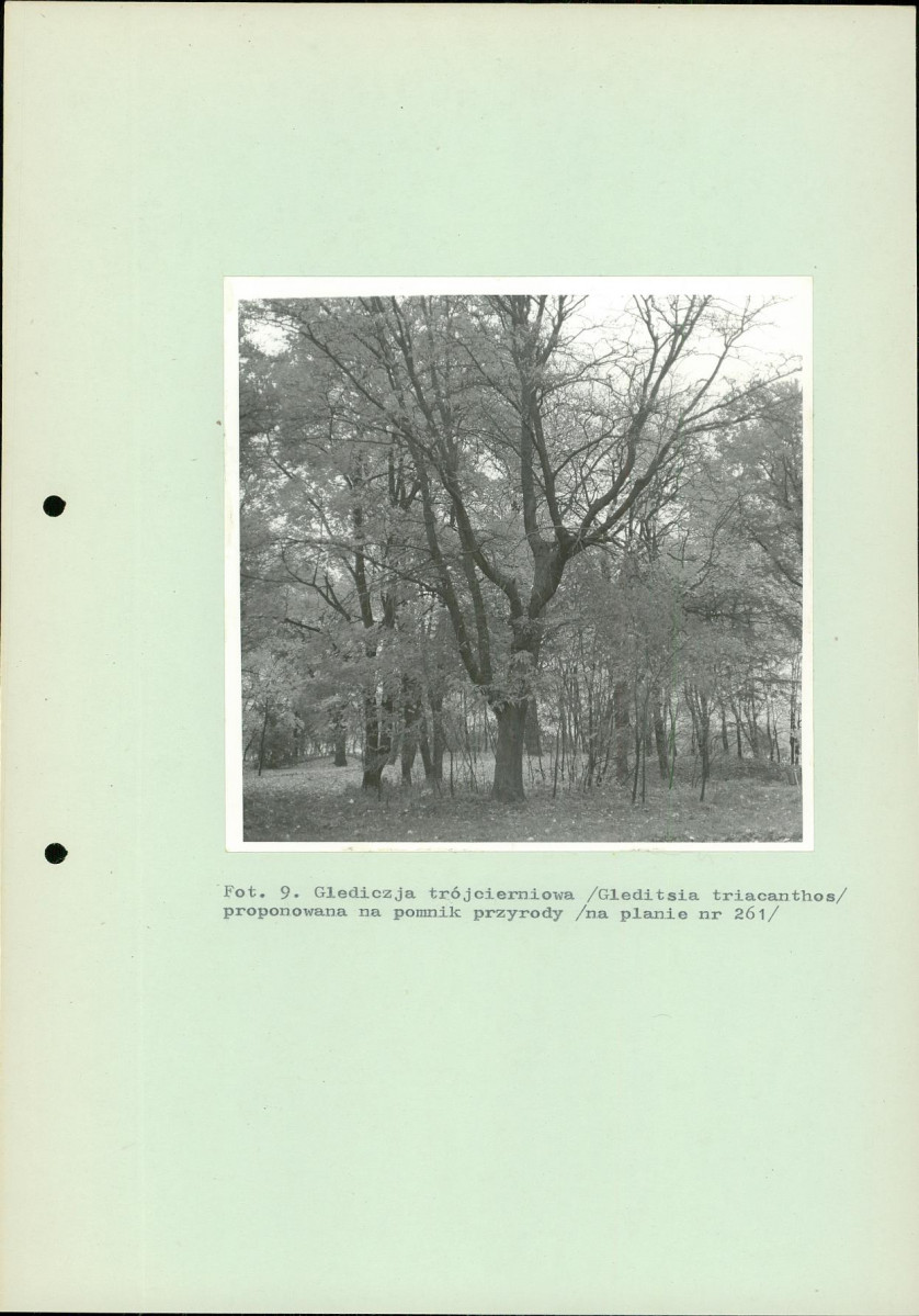 Ewidencja parkowa, skan nr 55