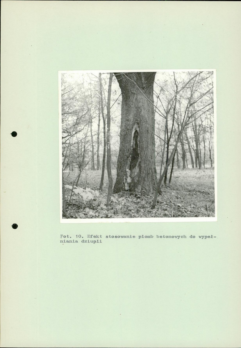 Ewidencja parkowa, skan nr 56